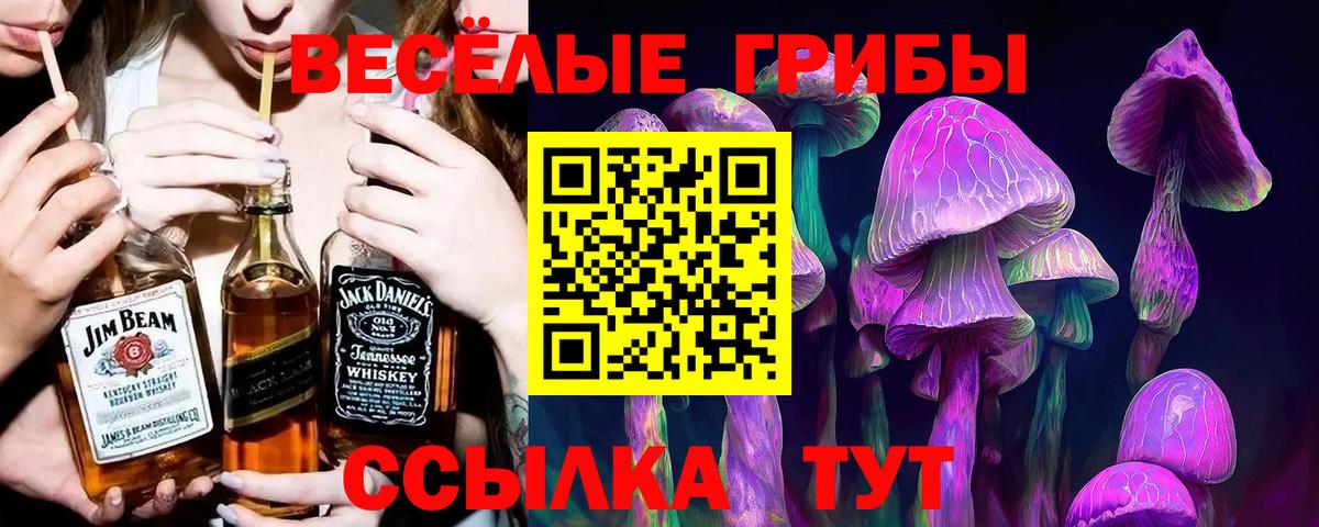 Ангарск  Псилоцибиновые грибы ЛСД  купить наркотик  Вход с VPN  Псилоцибиновые грибы мицелий 