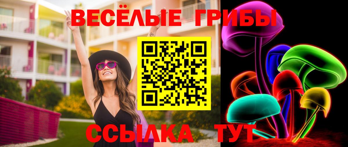 Галлюциногенные грибы GOLDEN TEACHER Ангарск